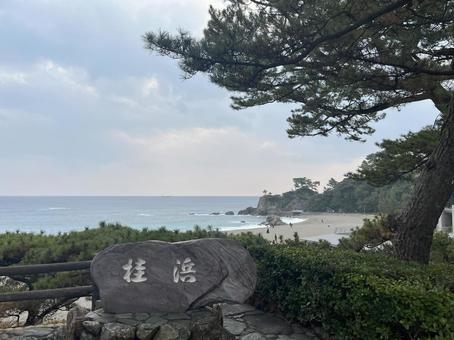 Photo, katsurahama, gui ক্রিক পার্ক, ryuba sakamoto, 