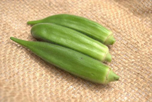 収穫した新鮮なオクラ 収穫した新鮮なオクラ オクラ,おくら,野菜の写真素材