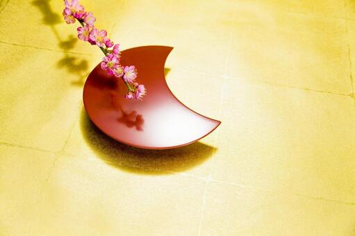 梅の花26 梅の花,白梅,紅梅の写真素材