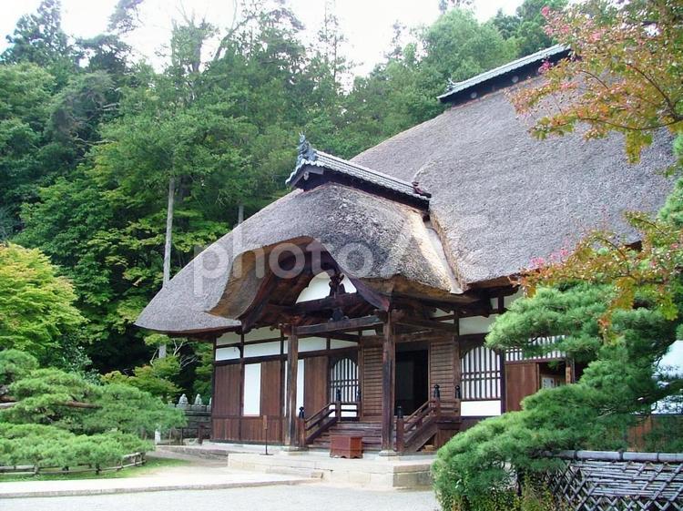 信州上田市常楽寺の夏 信州,上田市,別所温泉の写真素材