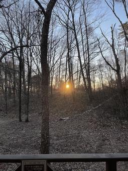 森から見た朝日 空,森,長野の写真素材