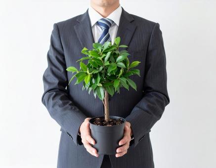 観葉植物を手にするビジネスパーソン 観葉植物を手にするビジネスパーソンの写真