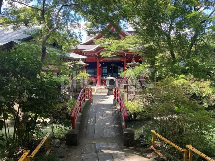 夏の井の頭弁財天 井の頭公園,公園,パークの写真素材