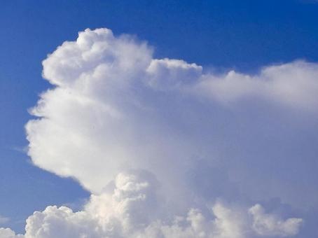 【風景写真】夏空 【風景写真】夏空の写真