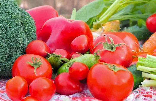 新鮮な野菜 新鮮な野菜の写真