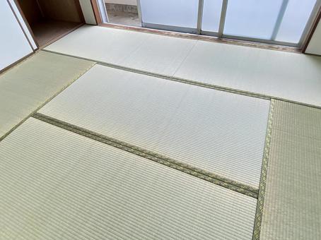 畳面を替えたばかりの住宅用の畳 畳,イグサ,植物の写真素材
