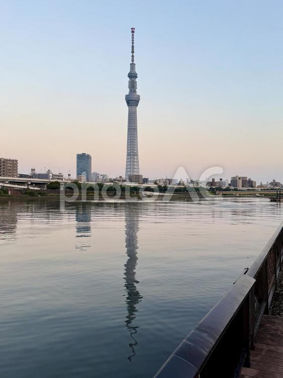 夕方の隅田川　隅田公園の遊歩道から スカイツリー,川,運河の写真素材