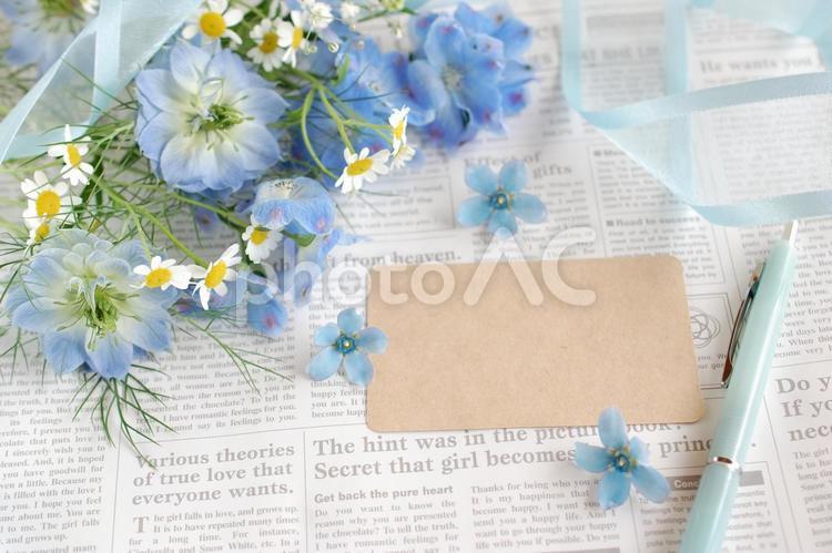 英字の背景と青い花たち⓺ 青い花,花,フラワーフレームの写真素材
