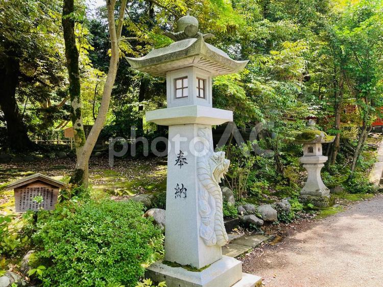 金澤神社　灯籠 金澤神社,石川県金沢市,神社の写真素材