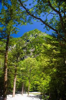 避暑の上高地 梓川から望む明神岳 避暑の上高地 梓川から望む明神岳の写真