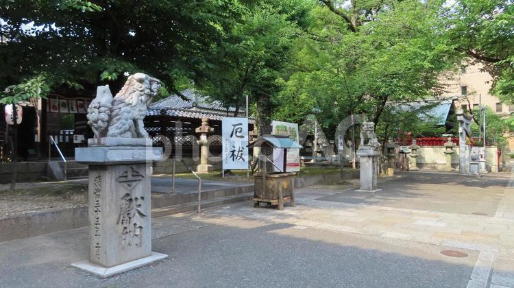名古屋東照宮　境内の風景 名古屋東照宮,東照宮,徳川家康の写真素材