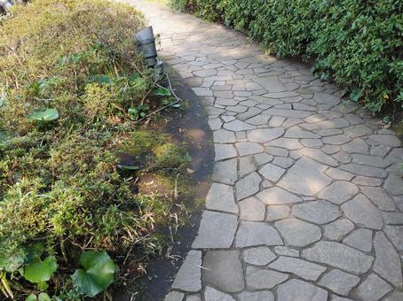 公園の歩道 公園の歩道の写真