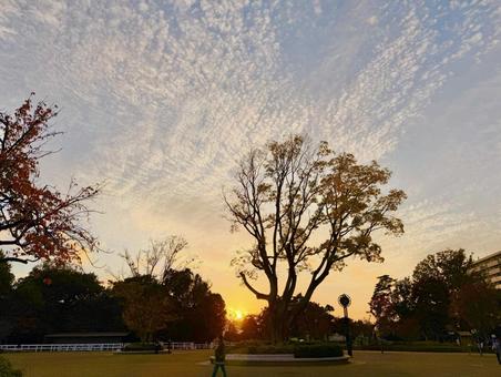 馬事公苑の絶景サンセット 空,サンセット,絶景の写真素材