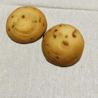 ソルトクッキー2枚 ソルトクッキー2枚の写真