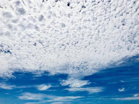 オジカノソラ オジカノソラの写真