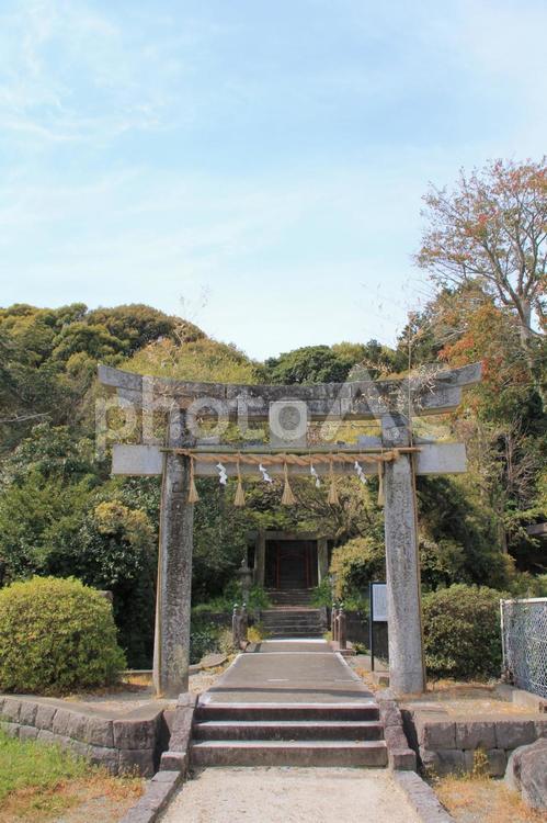 福岡県久山町の若八幡宮参道 八幡宮,八幡神社,久山町の写真素材