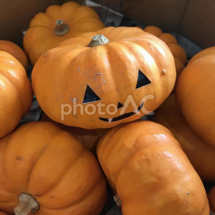 ハロウィン用かぼちゃ ハロウィン,カボチャ,南瓜の写真素材