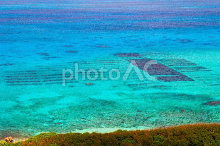 宮古島もずく養殖場の海 海,自然,風景の写真素材