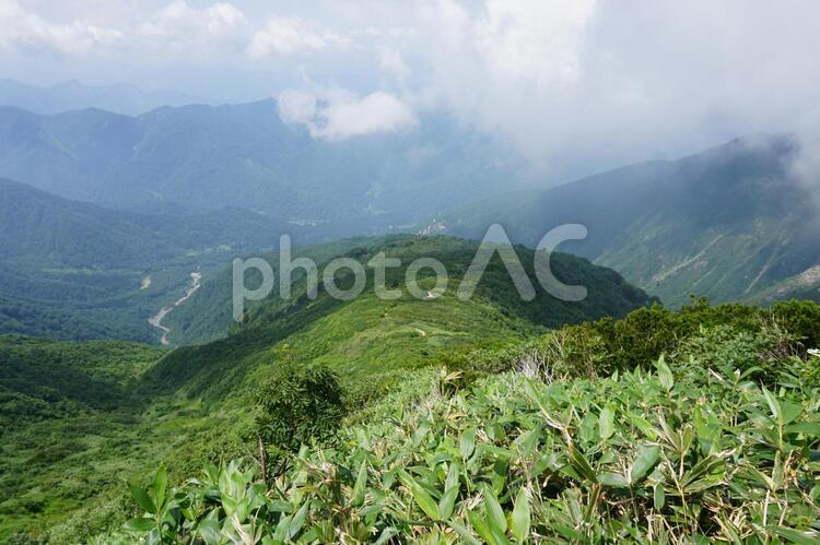 巻機山山頂付近からの風景 巻機山,巻機,風景の写真素材