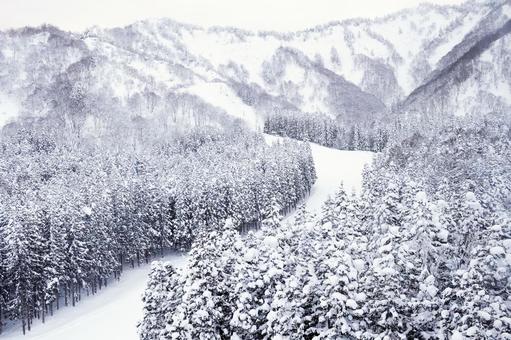 山の雪景色 雪景色,ノルディックスキー,クロスカントリースキーの写真素材
