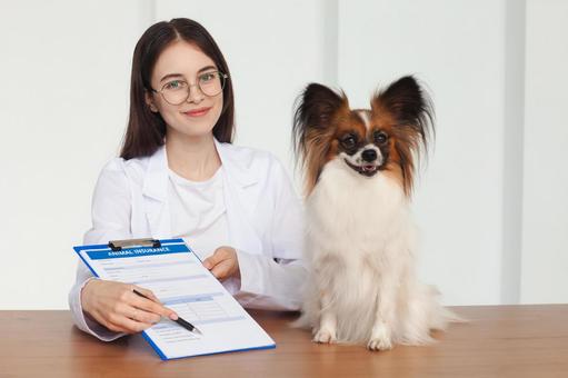 ペットと記入した用紙を差し出す女性 医療,予防,医者の写真素材