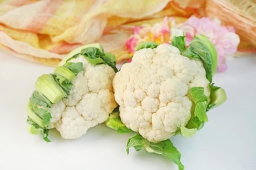 カリフラワー カリフラワー カリフラワー,野菜,食材の写真素材