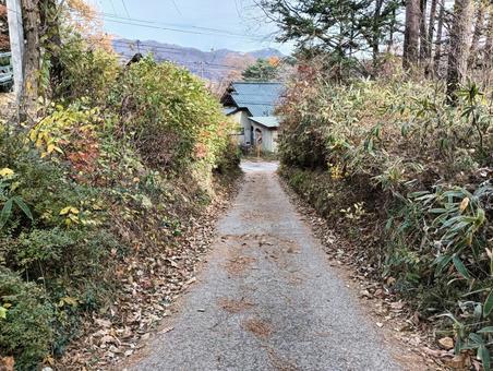通路 通路,小道,道の写真素材