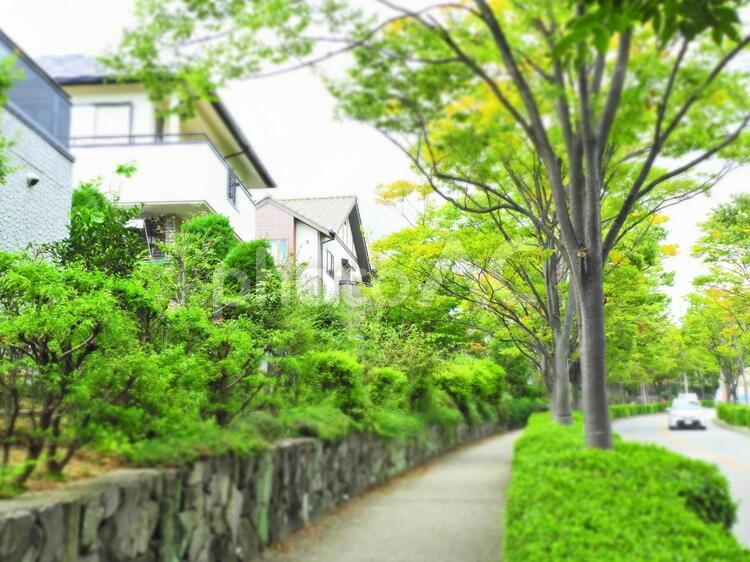 住宅街のイメージ 住宅,家,戸建ての写真素材