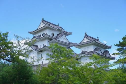 伊賀上野城② 三重県伊賀市 伊賀上野城② 三重県伊賀市の写真