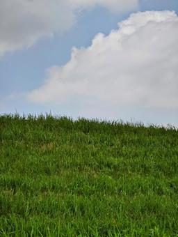 青空と緑の丘 自然,風景,草の写真素材