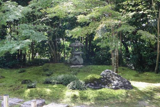 金福寺 庭園 金福寺 庭園 金福寺,庭園,佛日山の写真素材