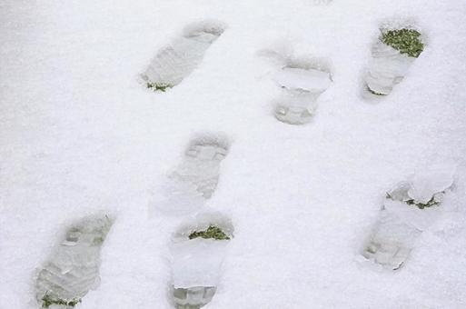 雪の上の足跡 雪の上の足跡の写真