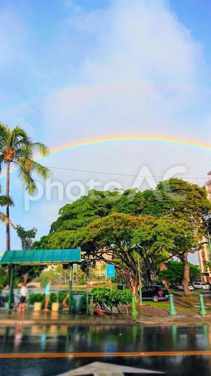 二重の虹と青空 虹,雨上がり,空の写真素材