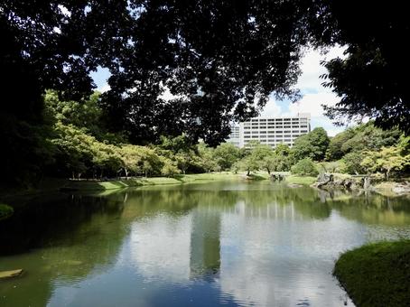 特別名勝小石川後楽園 特別名勝小石川後楽園 小石川後楽園,後楽園,庭園の写真素材