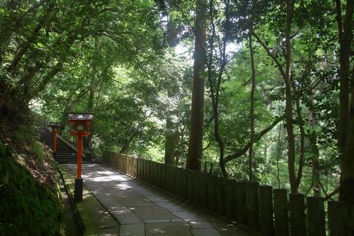鞍馬寺の参道、京都府京都市 鞍馬寺の参道、京都府京都市 鞍馬寺,お寺,参道の写真素材