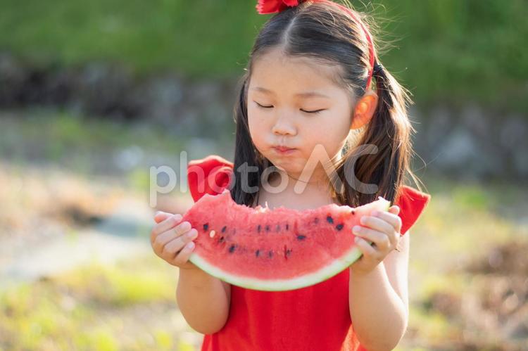 夢中でスイカを食べる子供 スイカ,子供,食べるの写真素材
