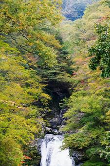 秋の秋保大滝⑵ 滝,秋保大滝,名瀑の写真素材