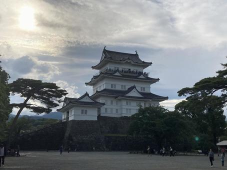 小田原城 小田原城の写真
