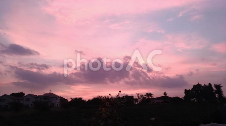 夕暮れ 夕焼け,夏,日暮れの写真素材