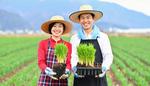 畑で苗を持って笑顔の日本人夫婦 田舎暮らし,畑作業,作業中の写真素材