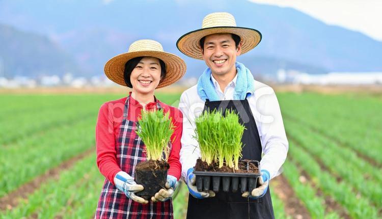 畑で苗を持って笑顔の日本人夫婦 田舎暮らし,畑作業,作業中の写真素材