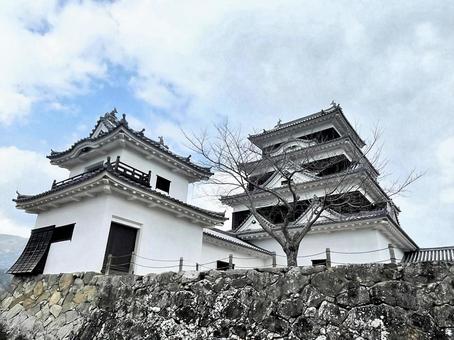 Photo, continent city, castle tower, honmaru, 