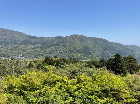箱根の自然 箱根の自然 山,自然,緑の写真素材