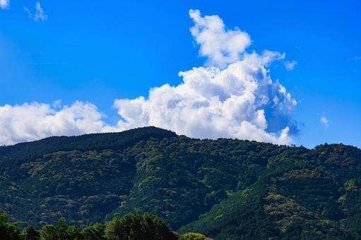 夏の山の景色です。の写真