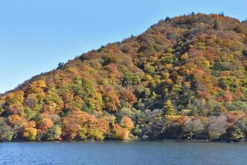紅葉する山 紅葉する山の写真