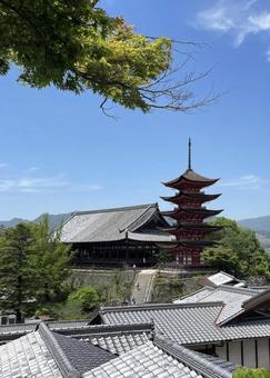 五重の塔 五重の塔の写真