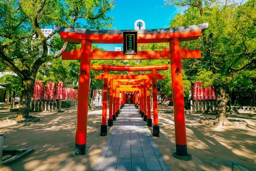 【兵庫】湊川神社 兵庫,神戸,湊川神社の写真素材