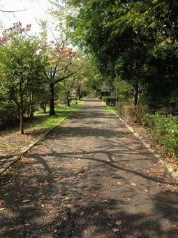 Promenade, JPG