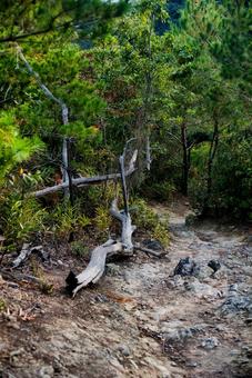 高御位山 播磨平野,山岳,平野の写真素材