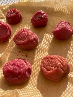 昔ながらの酸っぱい梅干作り 梅干,梅,梅仕事の写真素材